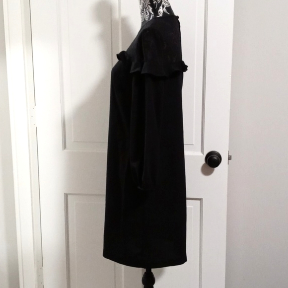 🆕️ 🖤LOFT🖤 - Black L/S Dress w/Sheer Polka Dot Ruffle Detail - Picture 8 of 16